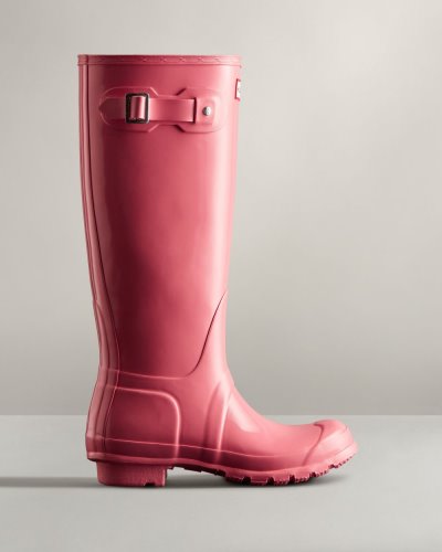 Hunter Original Hohe Gloss Rain Boot Hohe Regenstiefel Damen Rosa Deutschland | 7PH1XW3