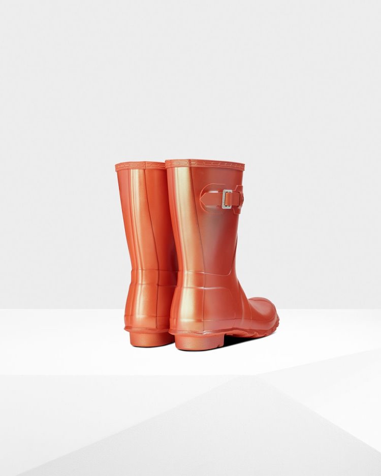 Hunter Nebula Kurzes Rain Boot Kurze Regenstiefel Damen Orange Deutschland | UM11RQK