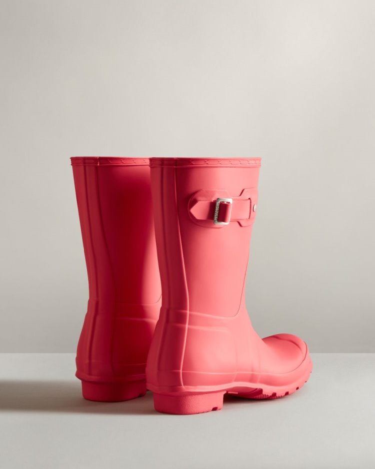 Hunter Original Kurzes Rain Boot Kurze Regenstiefel Damen Rosa Deutschland | GGP2OTJ